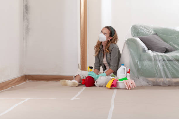 Reliable Mold Testing contractor in Elkridge, MD by WQB Mold Removal